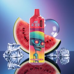JNR Alien 10000 Pufări Disposable Vape Pepene Gheață cu Baterie 850mAh