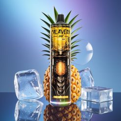 JNR Calavera 11000 Pufări Port USB-C 850mAh Ananas Gheață