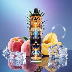 JNR Calavera 11000 Puffs Disposable Vape Port USB-C Gust piersică mango ananas gheață
