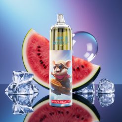 JNR Rocket-X 12400 Puffs Disposable Vape Coil 1.2ohm Pepene Înghețat