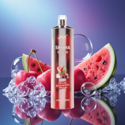JNR Shisha Hookah 12000 Puffs 24ml Cireșă Pepene Înghețat Tip-C