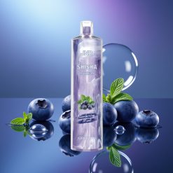 JNR Shisha Hookah 12000 Puffs 24ml Disposable Vape Afină Mentă