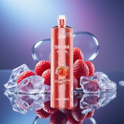 JNR Shisha Hookah 12000 Puffs Capsa de Capsuni Gheață cu Încărcare Type-C