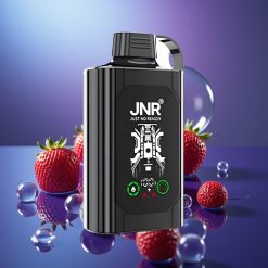 JNR Shisha Hookah Box 20500 Puffs 25ml Capsule Dual Mesh