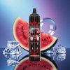 JNR Wolf Niplo 10000 Puffs Disposable 20ml Watermelon Gheață