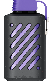 VOZOL GEAR 10000 furtuna cu fructe de pădure 4VLH291 - VOZOL Romania