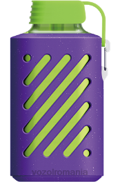 VOZOL GEAR 10000 gheata de afine 4VLH315 - VOZOL vape buy