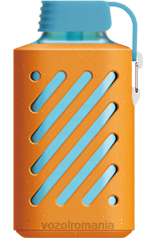 VOZOL GEAR 10000 mandarine mango guava 4VLH312 - VOZOL vape