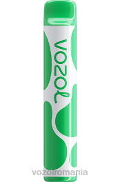 VOZOL JOYGO 600 gumă de mestecat pepene verde 4VLH394 - VOZOL bucharest