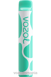VOZOL JOYGO 600 mentol 4VLH387 - VOZOL vape sale