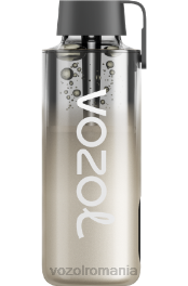 VOZOL NEON 10000 furtuna de mure 4VLH230 - VOZOL vape store