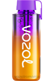 VOZOL NEON 10000 lamaie limeta 4VLH245 - VOZOL vape buy