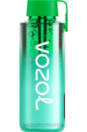 VOZOL NEON 10000 miami mint 4VLH229 - VOZOL vape arome