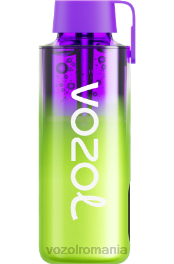 VOZOL NEON 10000 pepene verde zmeura 4VLH237 - VOZOL vape sale