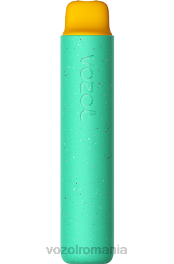 VOZOL STAR 2000 ursulet de guma 4VLH155 - VOZOL vape buy