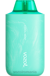 VOZOL STAR 6000/8000 v2 menta rece 4VLH57 - VOZOL vape sale