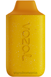 VOZOL STAR 6000 mango piersici ananas 4VLH119 - VOZOL vape arome