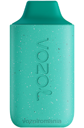 VOZOL STAR 6000 menta rece 4VLH110 - VOZOL vape store
