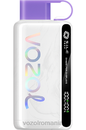 VOZOL STAR 9000/12000 fructe de padure amestecate 4VLH26 - VOZOL vape flavors