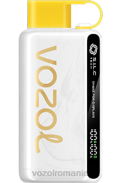 VOZOL STAR 9000/12000 kiwi guava fructul pasiunii 4VLH25 - VOZOL vape buy