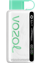 VOZOL STAR 9000/12000 menta rece 4VLH23 - VOZOL vape Romania
