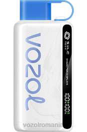 VOZOL STAR 9000/12000 vzbull 4VLH50 - VOZOL vape store