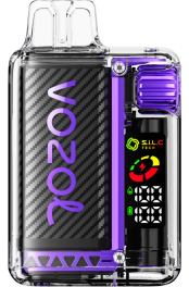 VOZOL VISTA 16000/20000 fructe de padure amestecate 4VLH10 - VOZOL vape store
