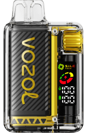 VOZOL VISTA 16000/20000 gheata de mango 4VLH8 - VOZOL vape sale