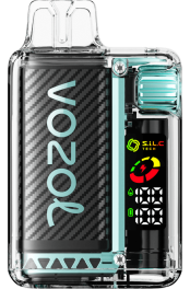 VOZOL VISTA 16000/20000 miami mint 4VLH9 - VOZOL review